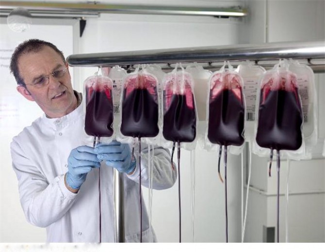 Los bancos de sangre se fusionan con el BBVA